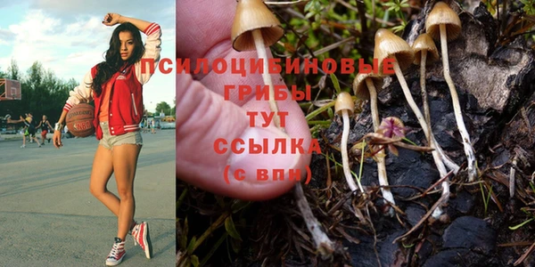мет Гусиноозёрск